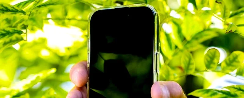 Jaki telefon do 2000 zł? Ranking opłacalnych modeli na 2026 rok